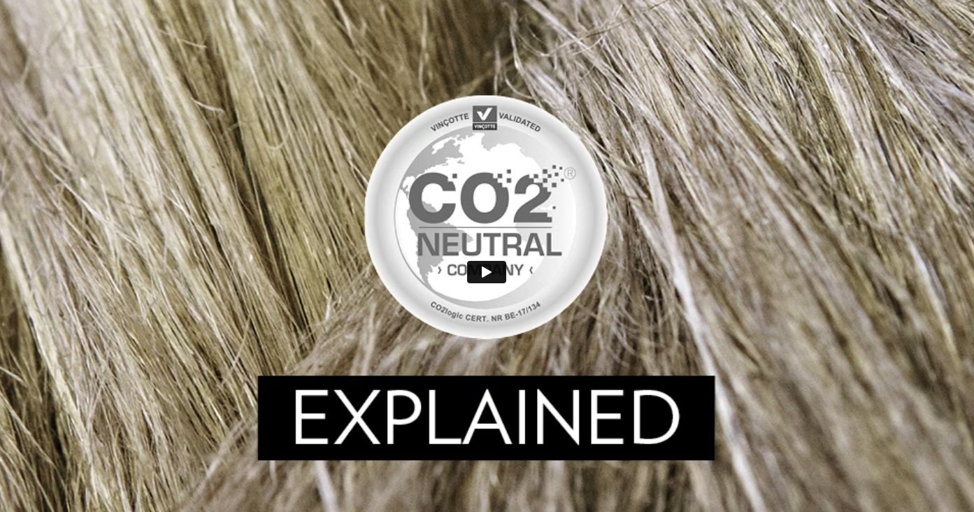 Load video: Video CO2 NEUTRAL Explained